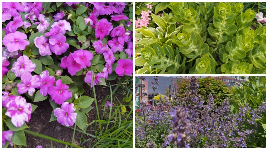 1625538247635061.jpg 640 (9).jpg