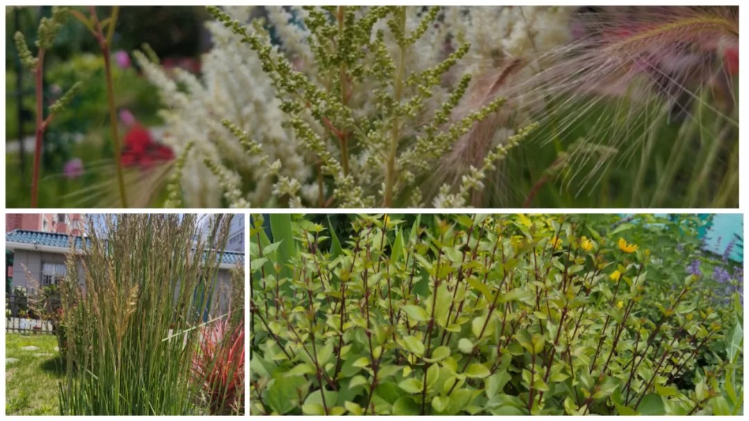 1625538259945658.jpg 640 (10).jpg