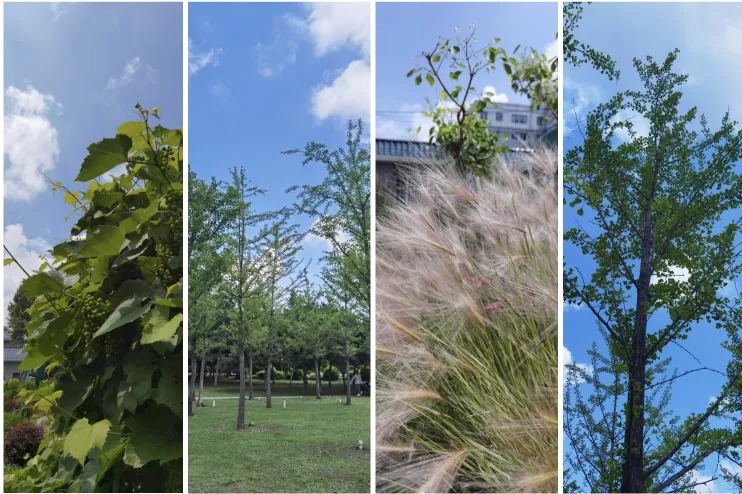 1625538268809964.jpg 640 (11).jpg