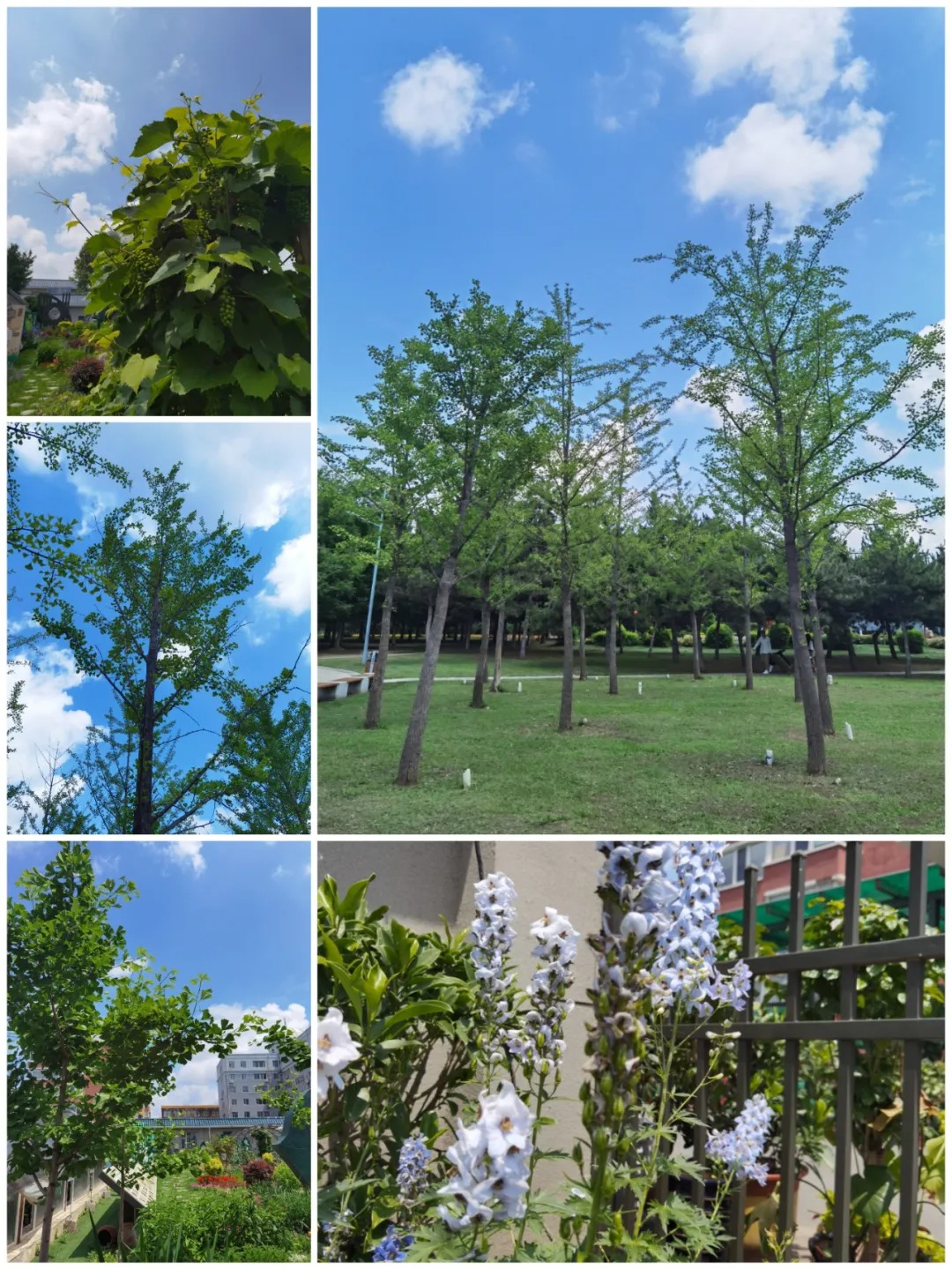 1625538277400066.jpg 640 (12).jpg