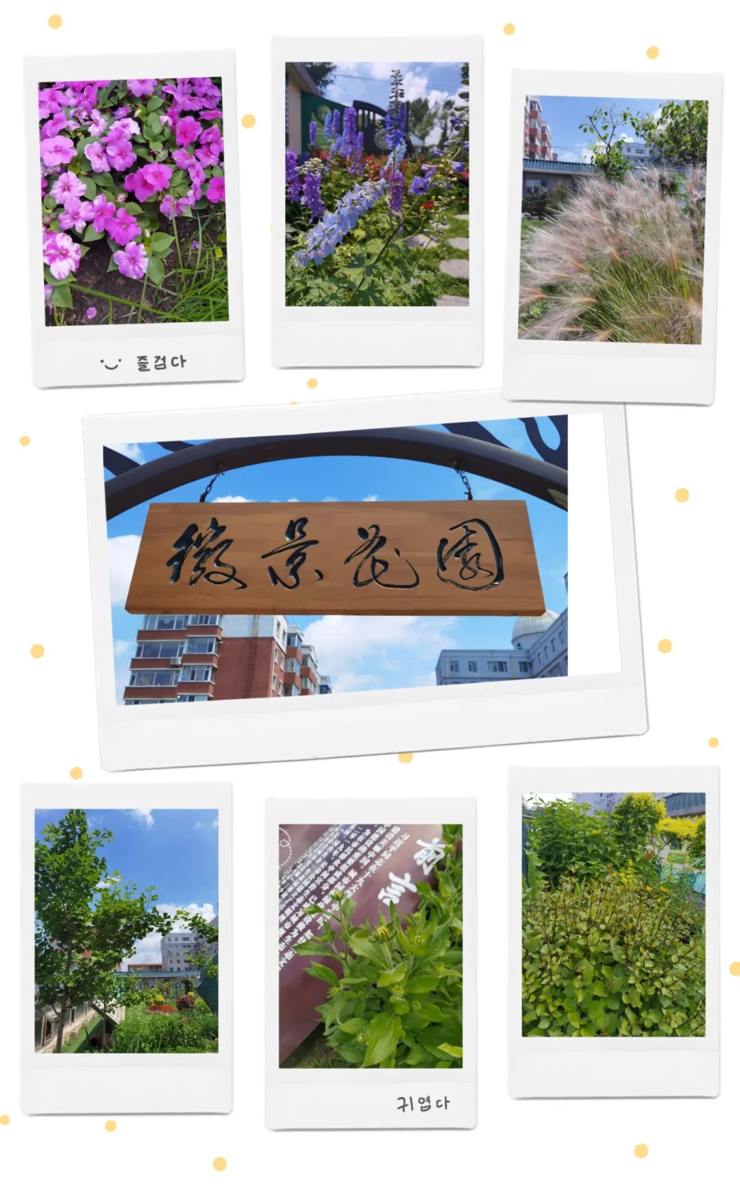 1625538288859632.jpg 640 (13).jpg