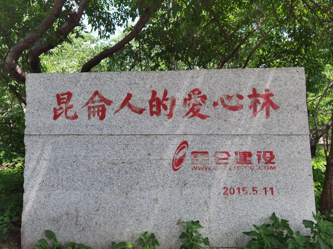 1625538389990104.jpg 640 (15).jpg